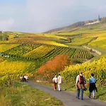 Weinhotel Des Riesling Zum Gruenen Kranz 3* Rüdesheim am Rhein