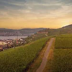 Weinhotel Des Riesling Zum Gruenen Kranz