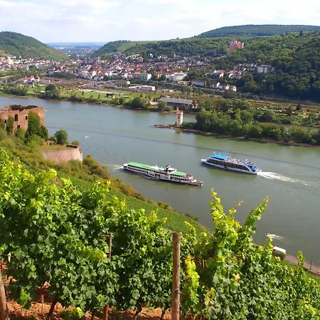 Weinhotel Des Riesling Zum Gruenen Kranz 3* רודסהיים אם ריין