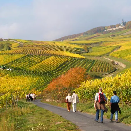 Weinhotel Des Riesling Zum Gruenen Kranz 3* רודסהיים אם ריין
