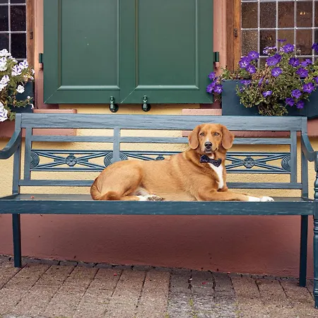 Weinhotel Des Riesling Zum Gruenen Kranz