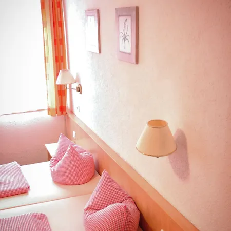 Weinhotel Des Riesling Zum Gruenen Kranz Rüdesheim am Rhein