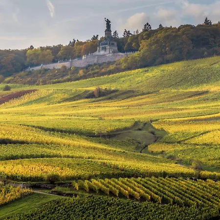 Weinhotel Des Riesling Zum Gruenen Kranz 3* Rüdesheim am Rhein