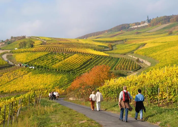Weinhotel Des Riesling Zum Gruenen Kranz 3* Rüdesheim am Rhein
